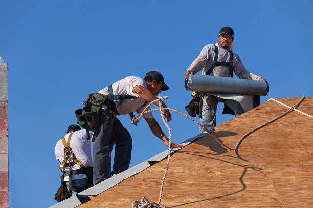 Best Gutter Installation and Roofing  in Gifford, FL