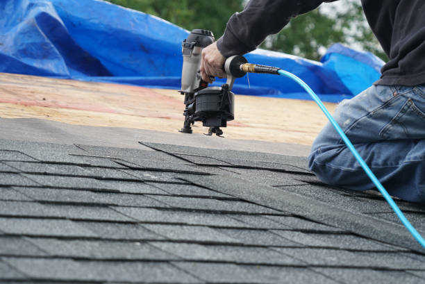 Best Roof Gutter Cleaning  in Gifford, FL