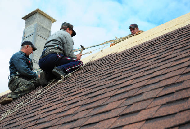 Best Storm Damage Roof Repair  in Gifford, FL
